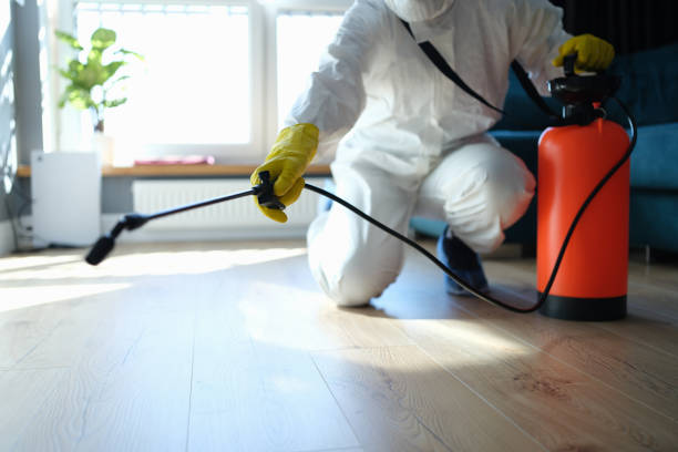 Best Local Pest Control Services  in Parshall, ND