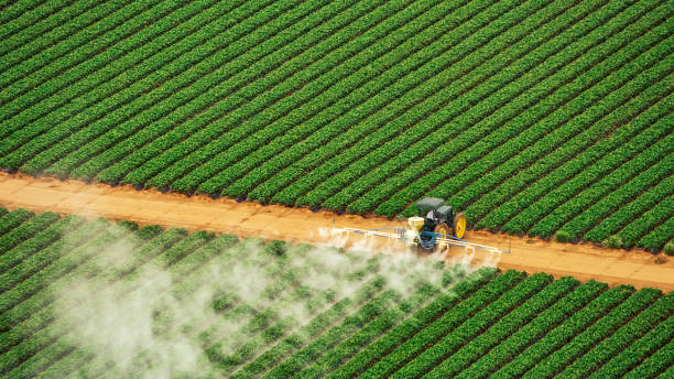 Best Ant Control Services  in Parshall, ND