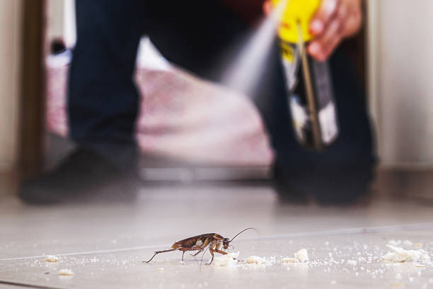 Best Rat Extermination Near Me  in Parshall, ND