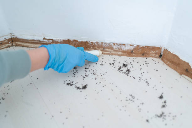 Best Best Pest Control Companies  in Parshall, ND